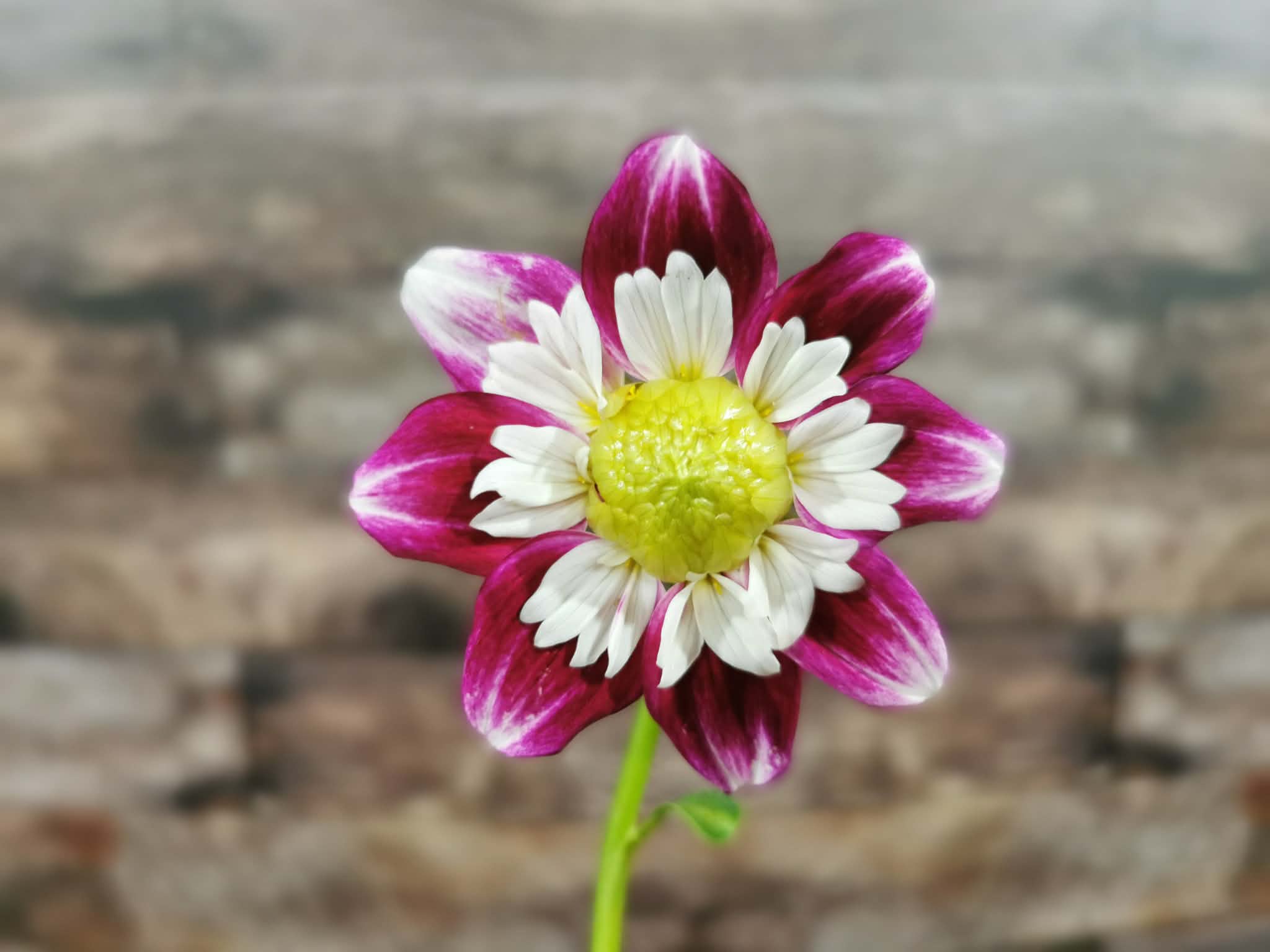 Beauty