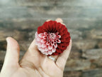 Florelie Cosmic Romance
