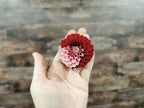 Florelie Cosmic Romance