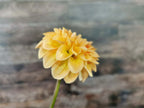 Florelie Nectar