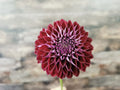 Florelie Origami