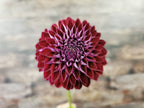 Florelie Origami