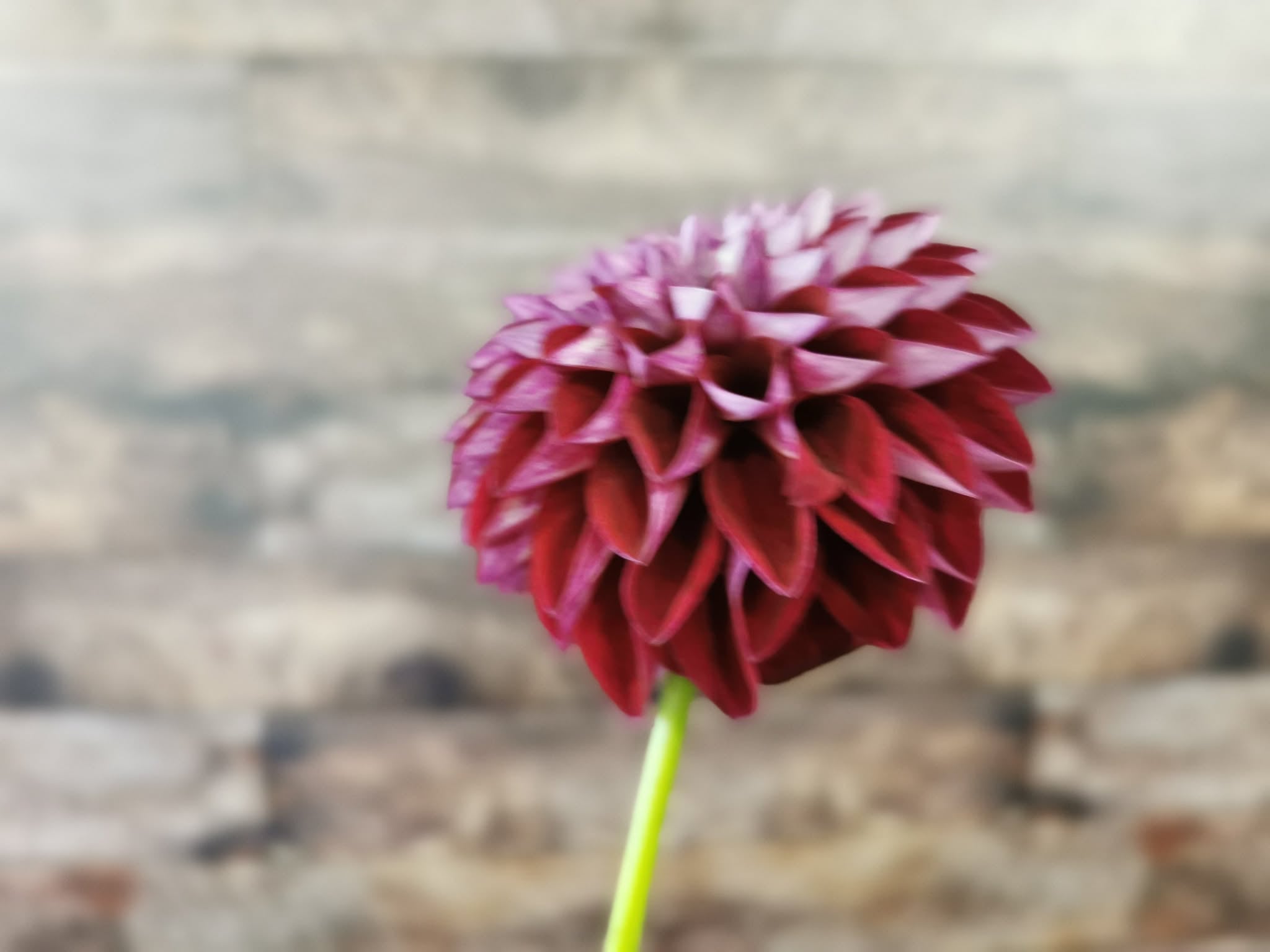 Florelie Origami