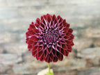 Florelie Origami