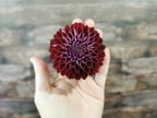 Florelie Origami