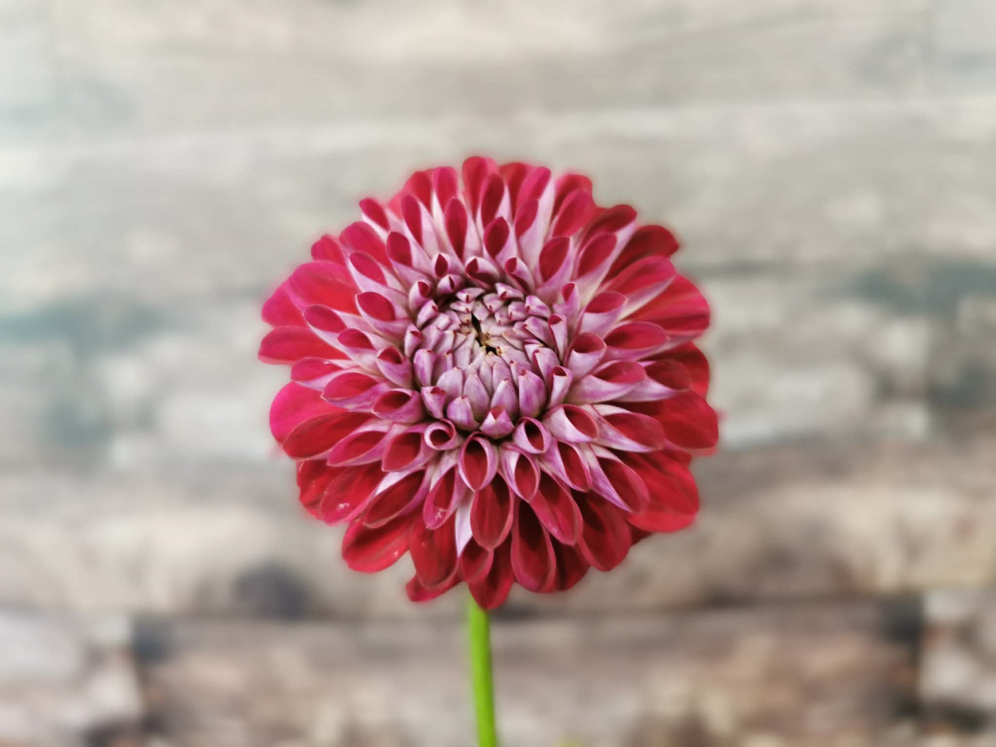 Formby Atom