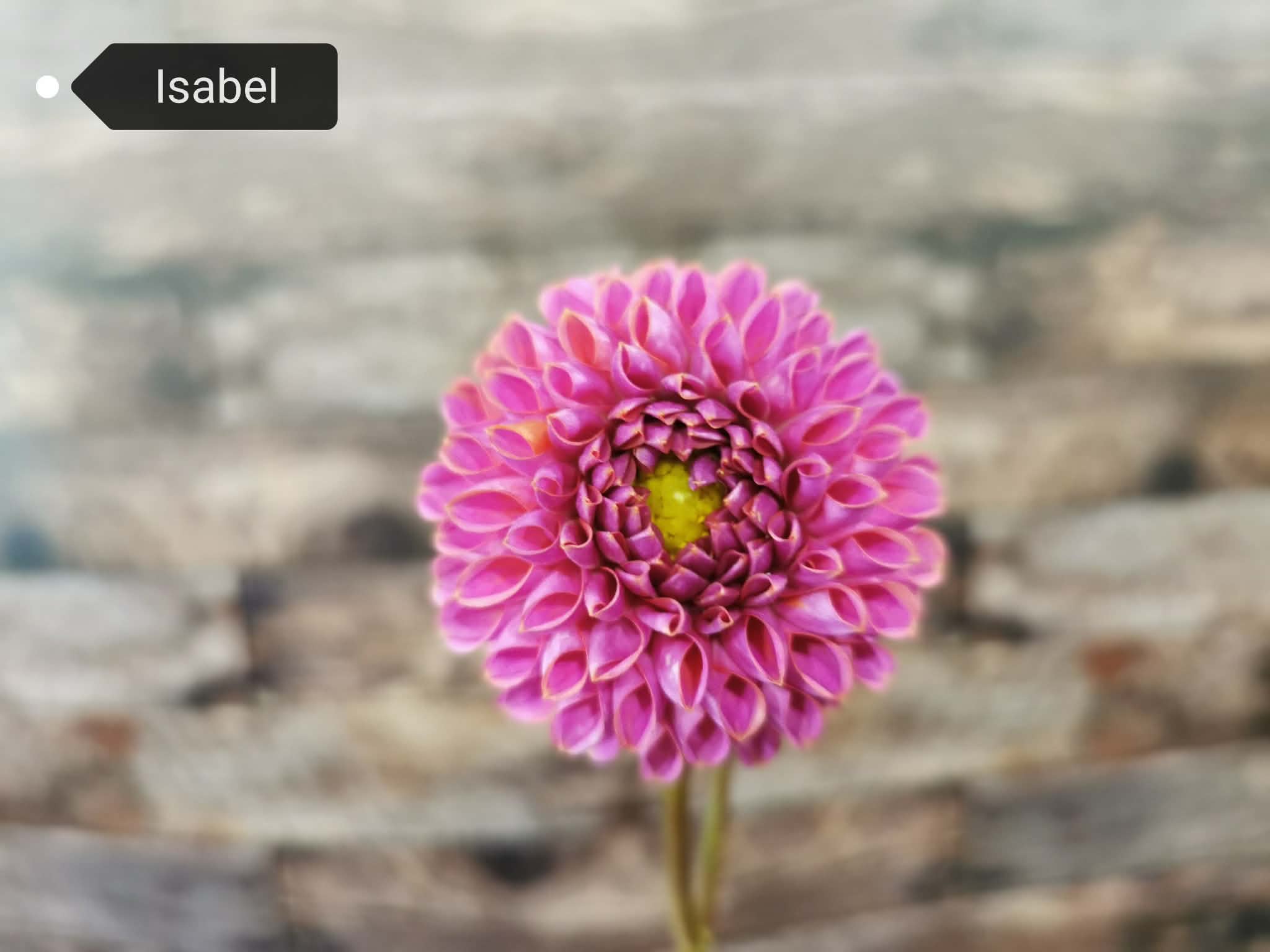 Isabel