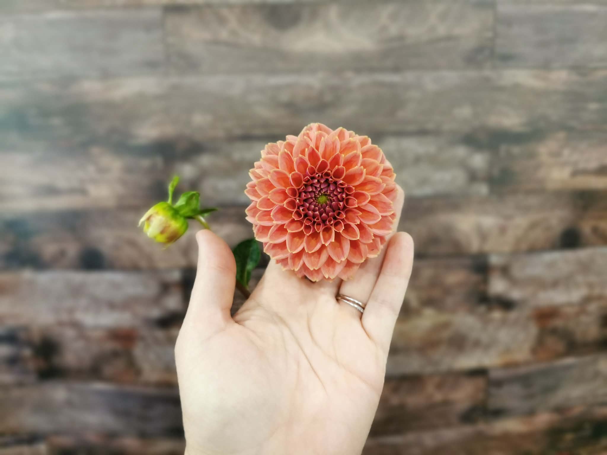 Peachy