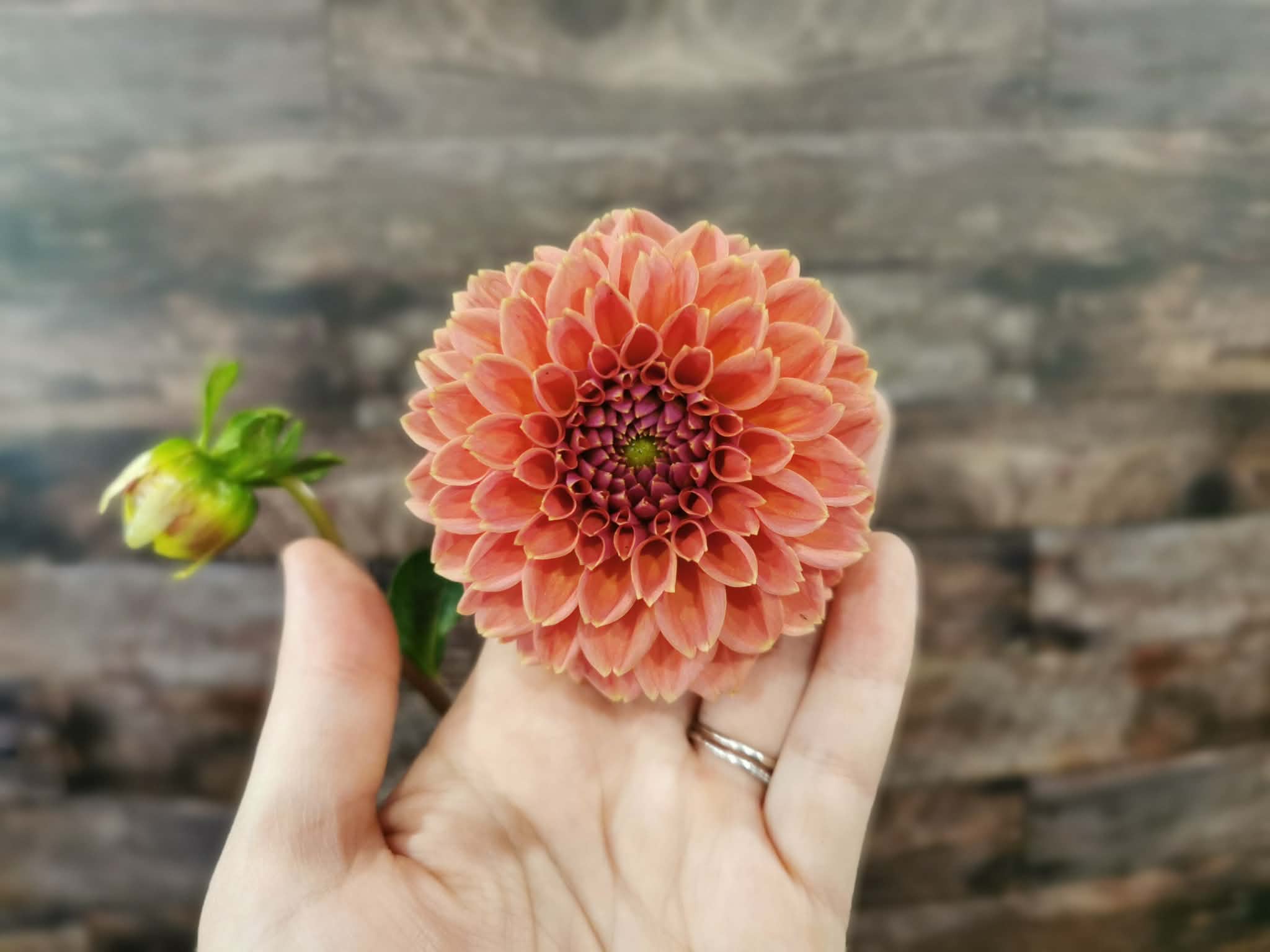 Peachy